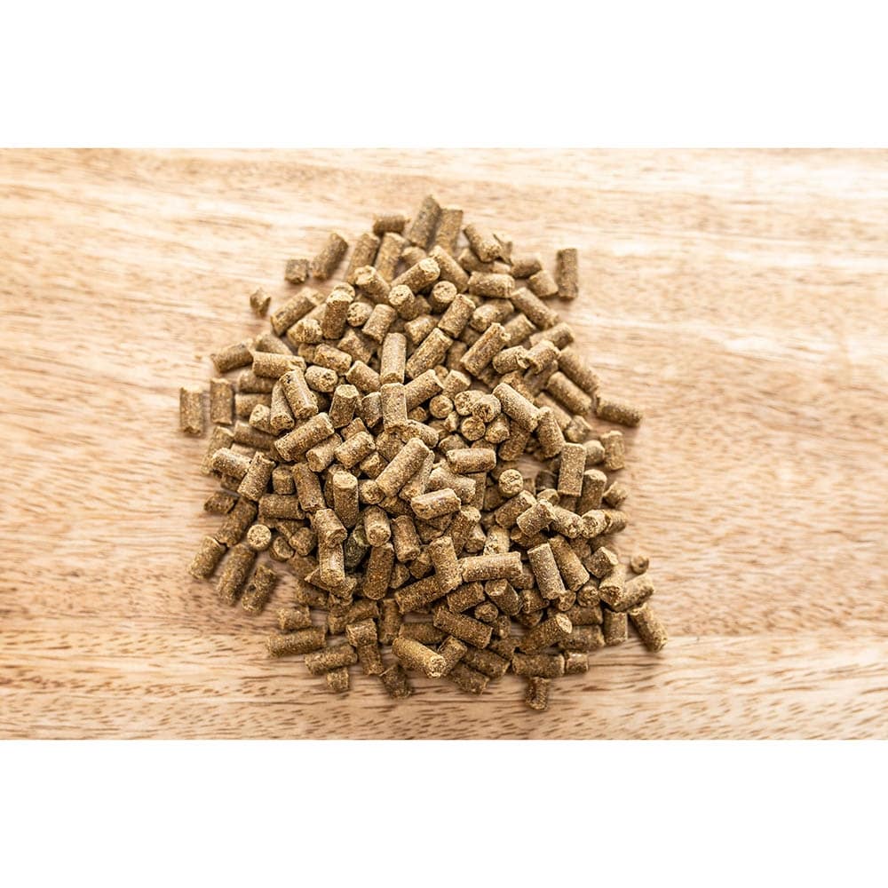 St. Hippolyt Magnesium B12_2