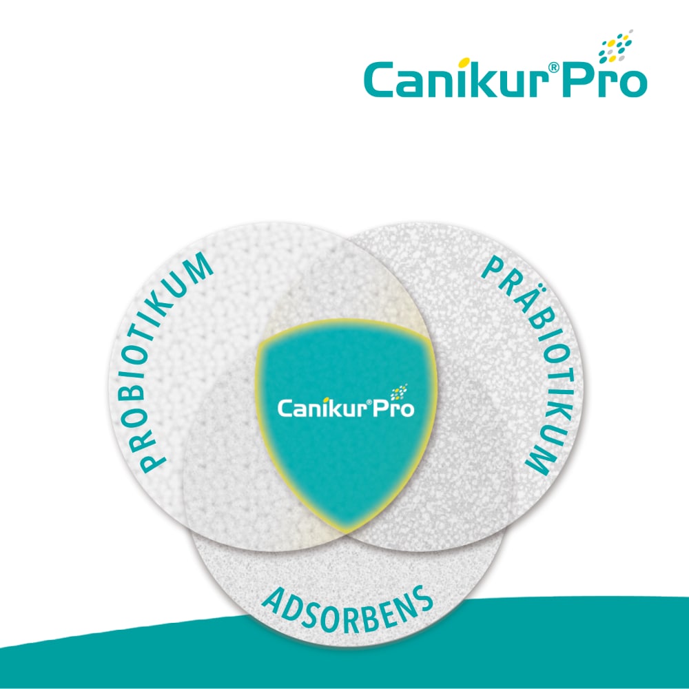 Boehringer Ingelheim Canikur Pro_3