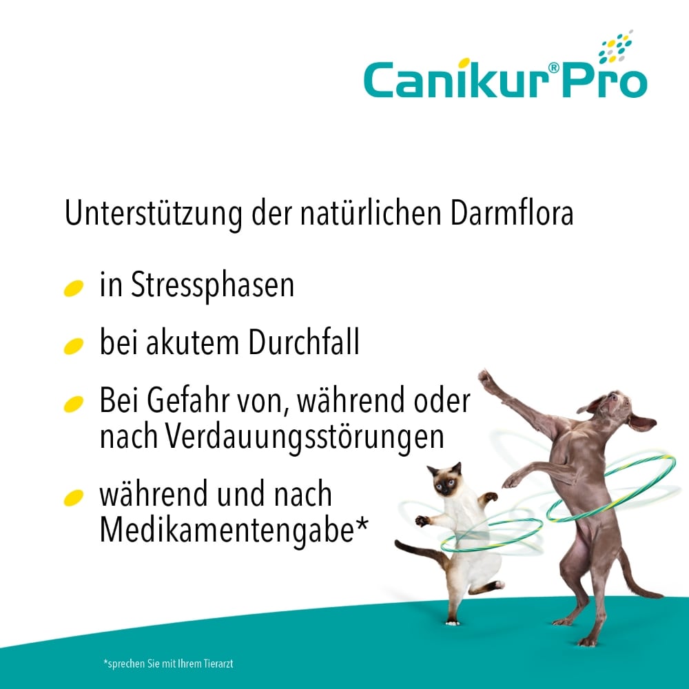 Boehringer Ingelheim Canikur Pro_2