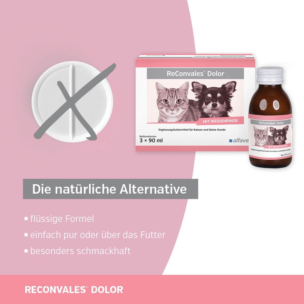 Alfavet ReConvales Dolor_4