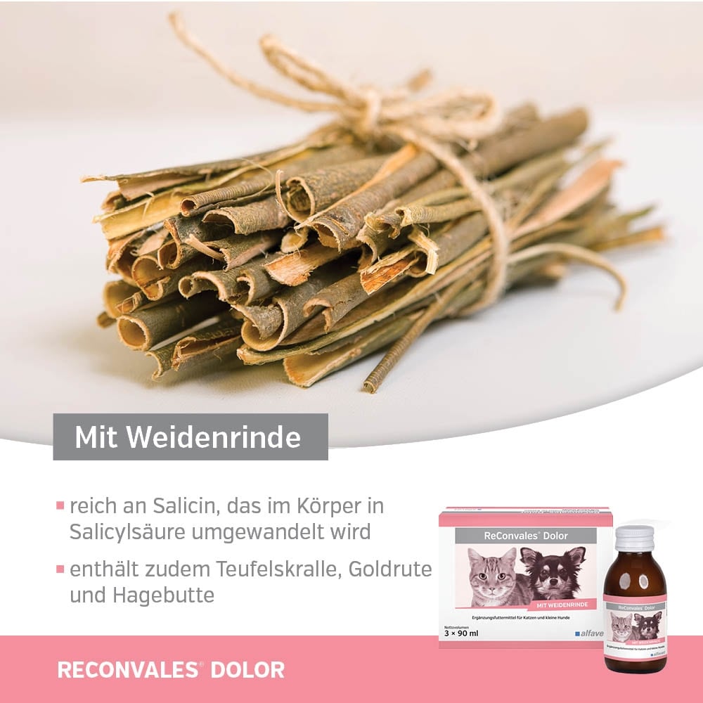 Alfavet ReConvales Dolor_3