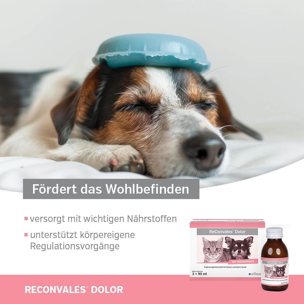 Alfavet ReConvales Dolor_2