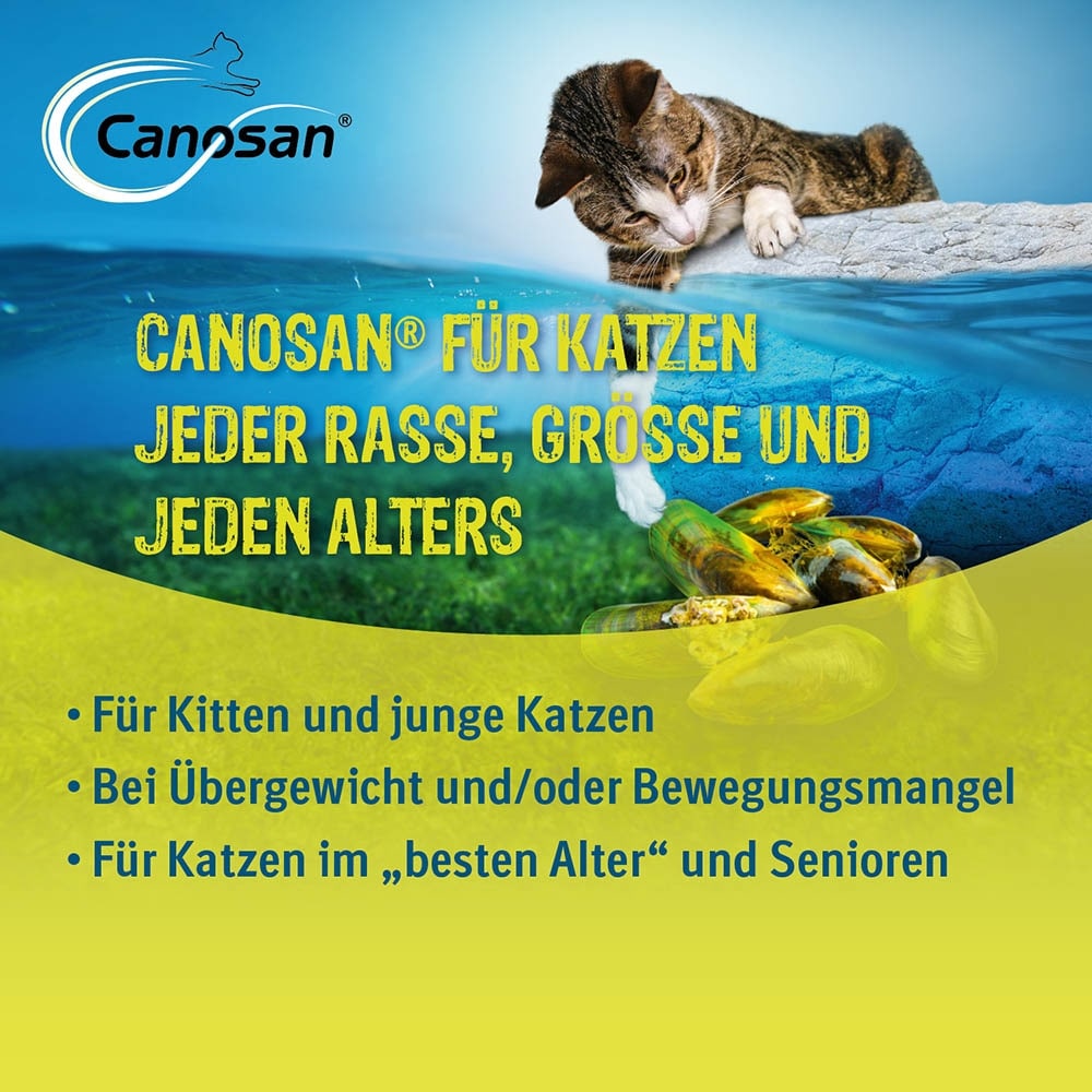 Boehringer Ingelheim Canosan Kautabletten Katze_3