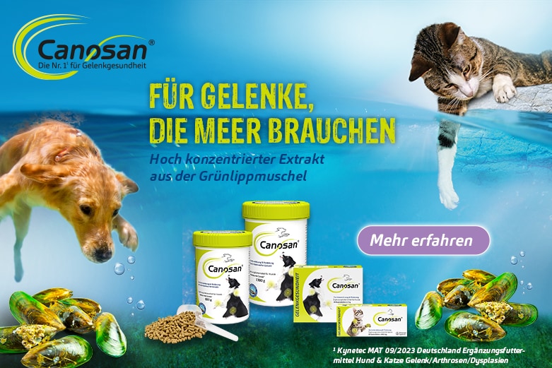 Canosan Hund Grünlippmuschel