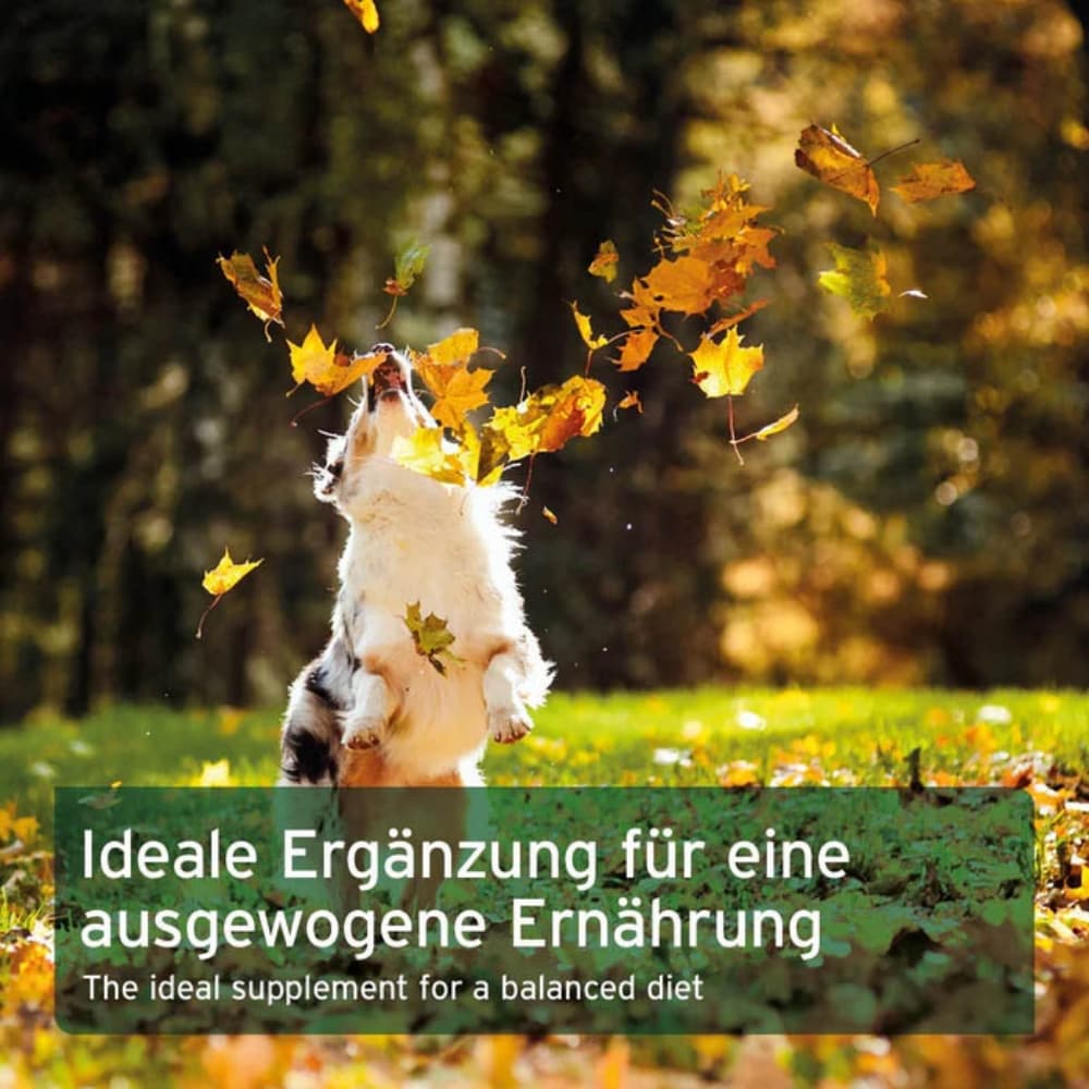 AniForte BARF-Line Naturkräuter-Mix_5