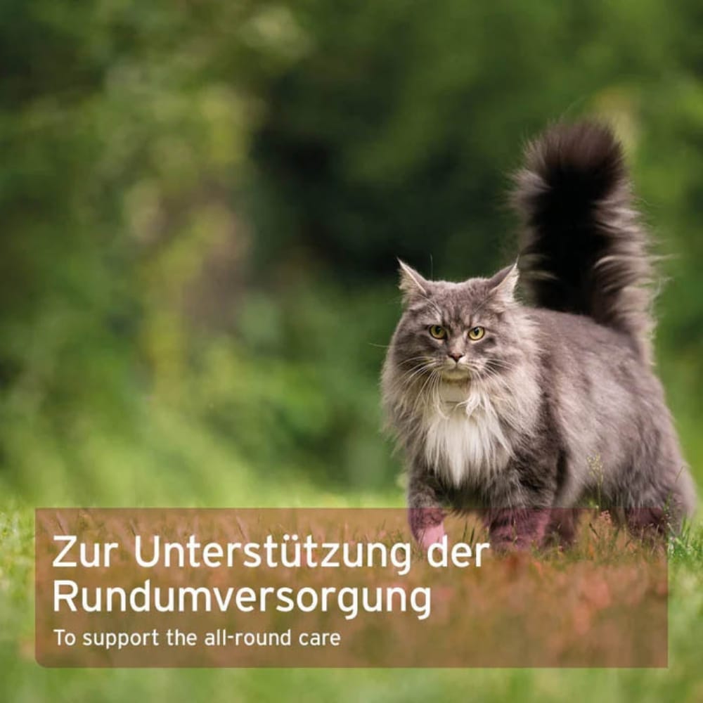 AniForte 4in1 Complete Cat_5