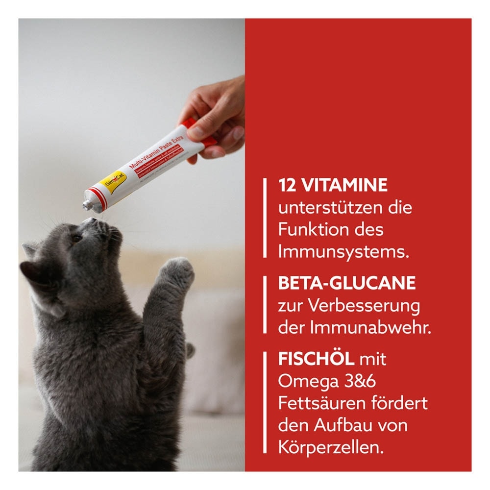 GimCat Multi-Vitamin Paste Extra_2