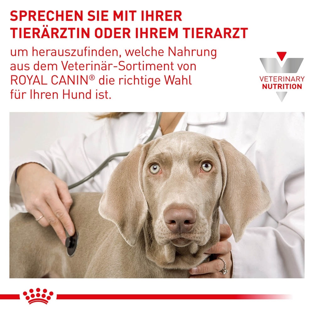 Royal Canin Veterinary Renal Special Nassfutter für Hunde_4