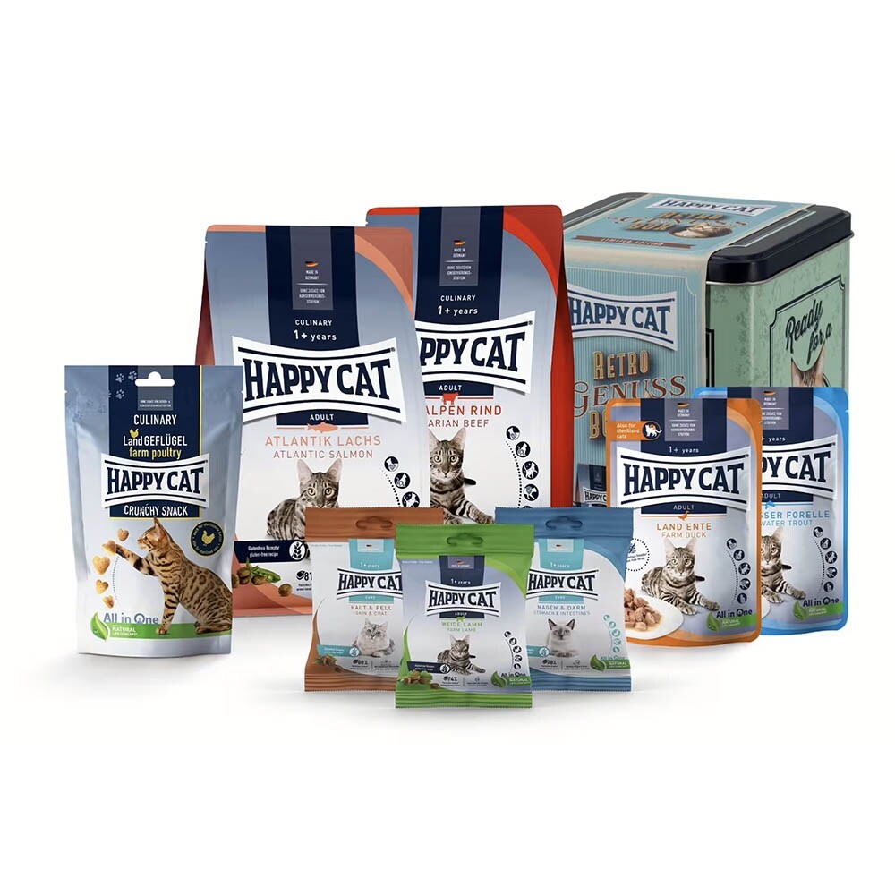 Happy Cat Retro Box_1