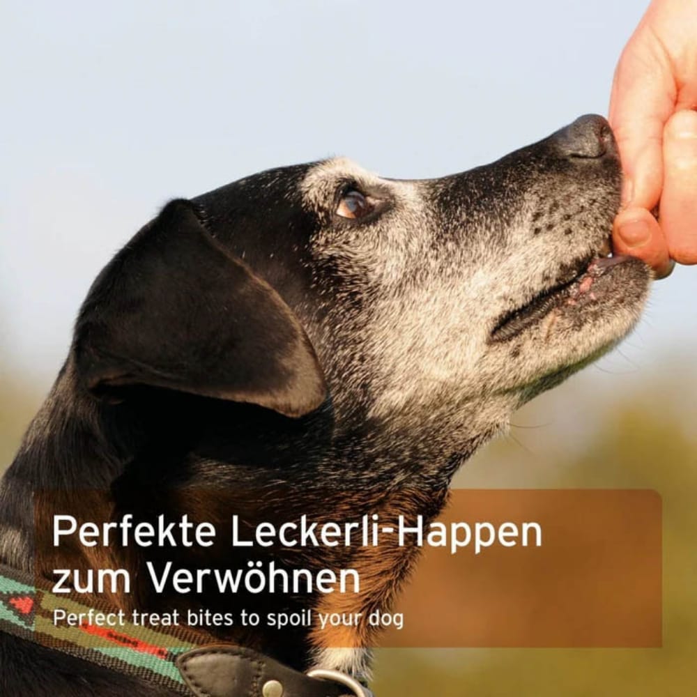 AniForte Dog Snacks Huhn_4