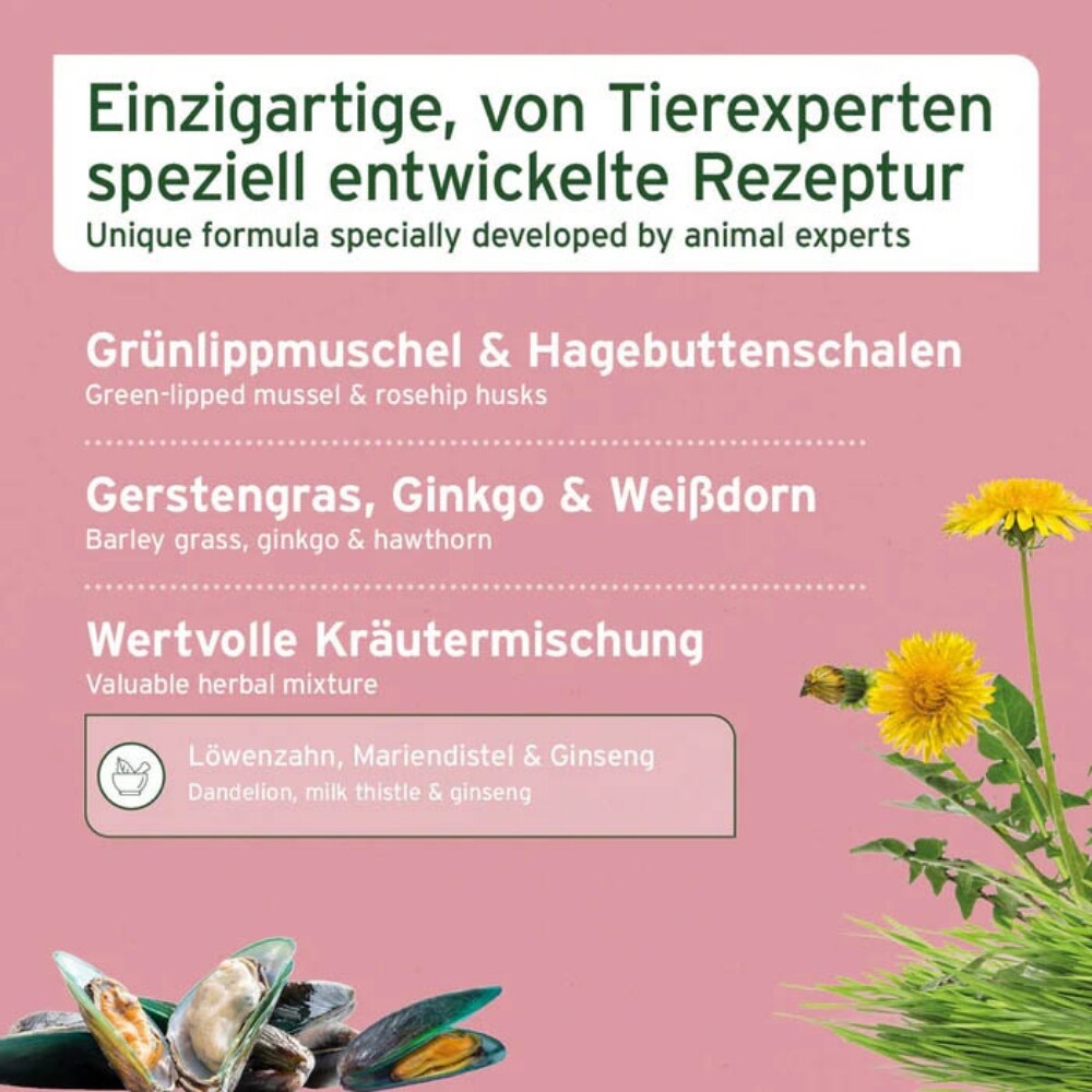 AniForte Senior Active_2