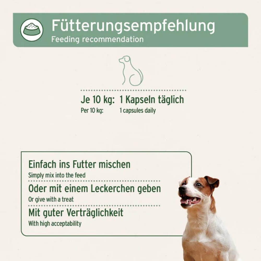 AniForte Weihrauch-Kapseln_3