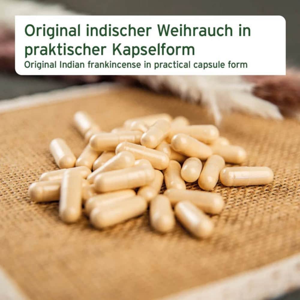 AniForte Weihrauch-Kapseln_1