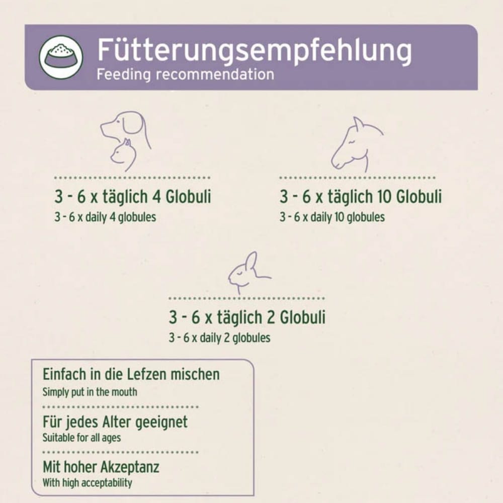 AniForte Bachblüten Gewitter & Silvester_3