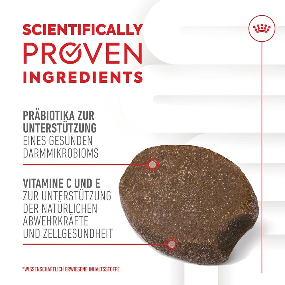 Royal Canin Immunity & Digestion Chews Puppy Supplements_2