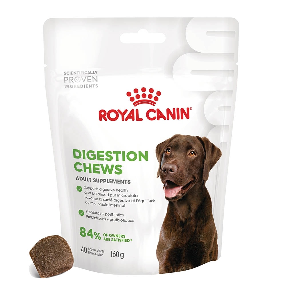 Royal Canin Digestion Chews Adult Supplements_1