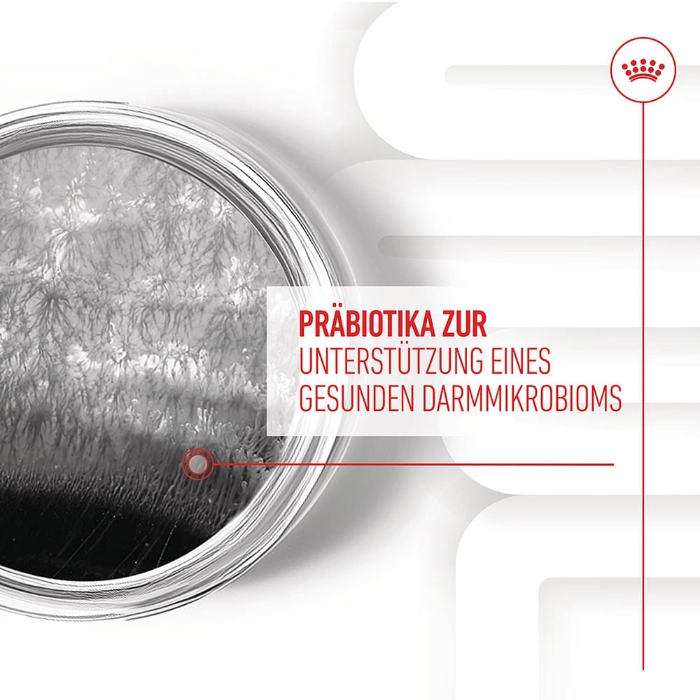 Royal Canin Digestion Chews Adult Supplements_4