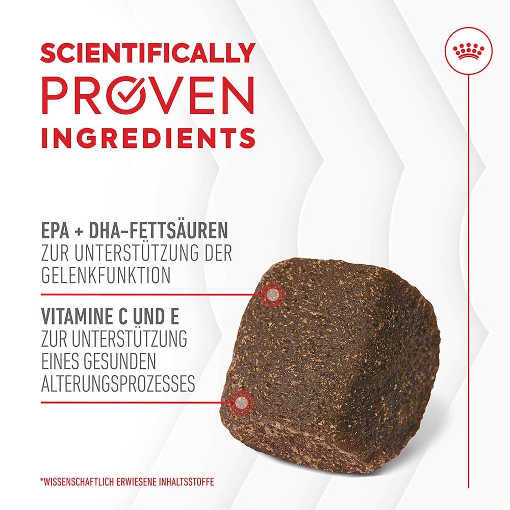 Royal Canin Joint & Ageing Chews Adult Supplements_2