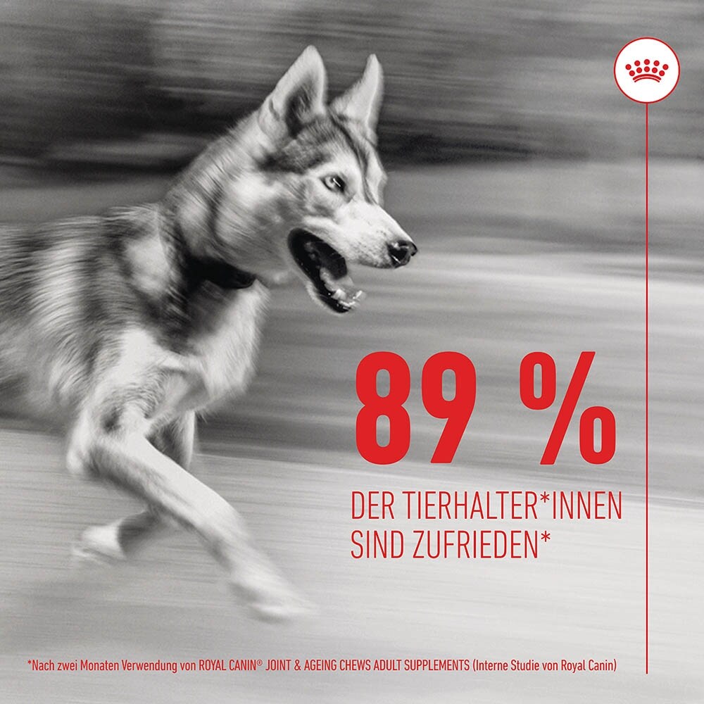 Royal Canin Joint & Ageing Chews Adult Supplements_7