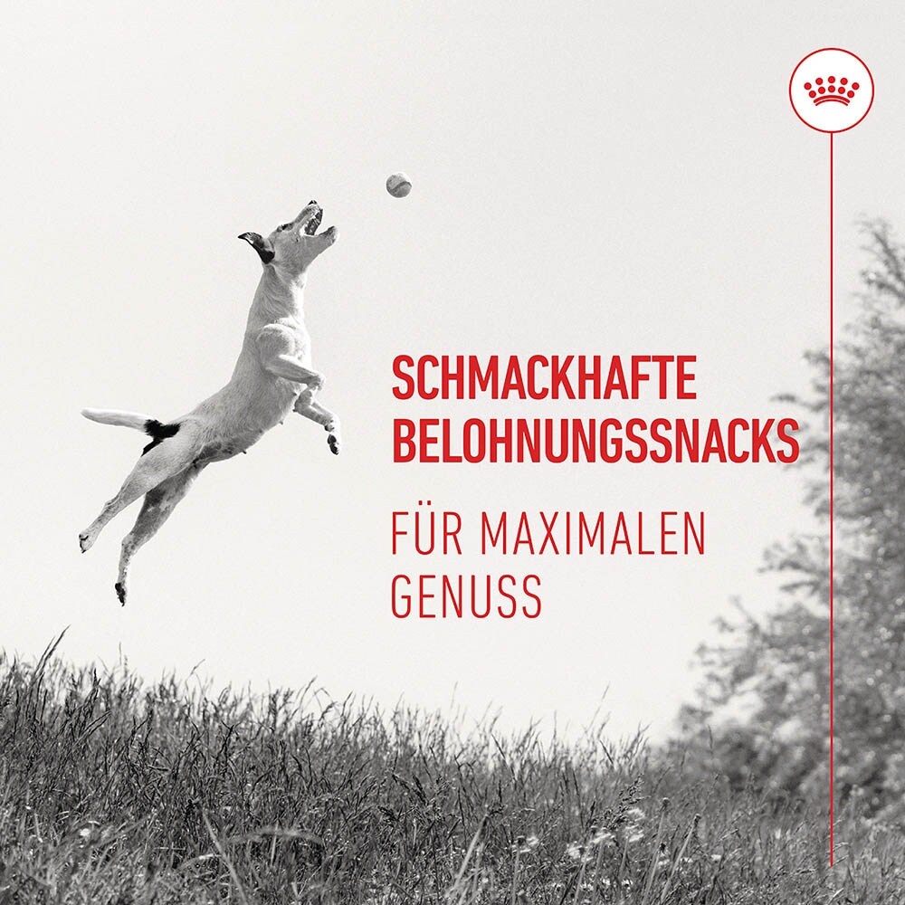 Royal Canin Training Treats_6