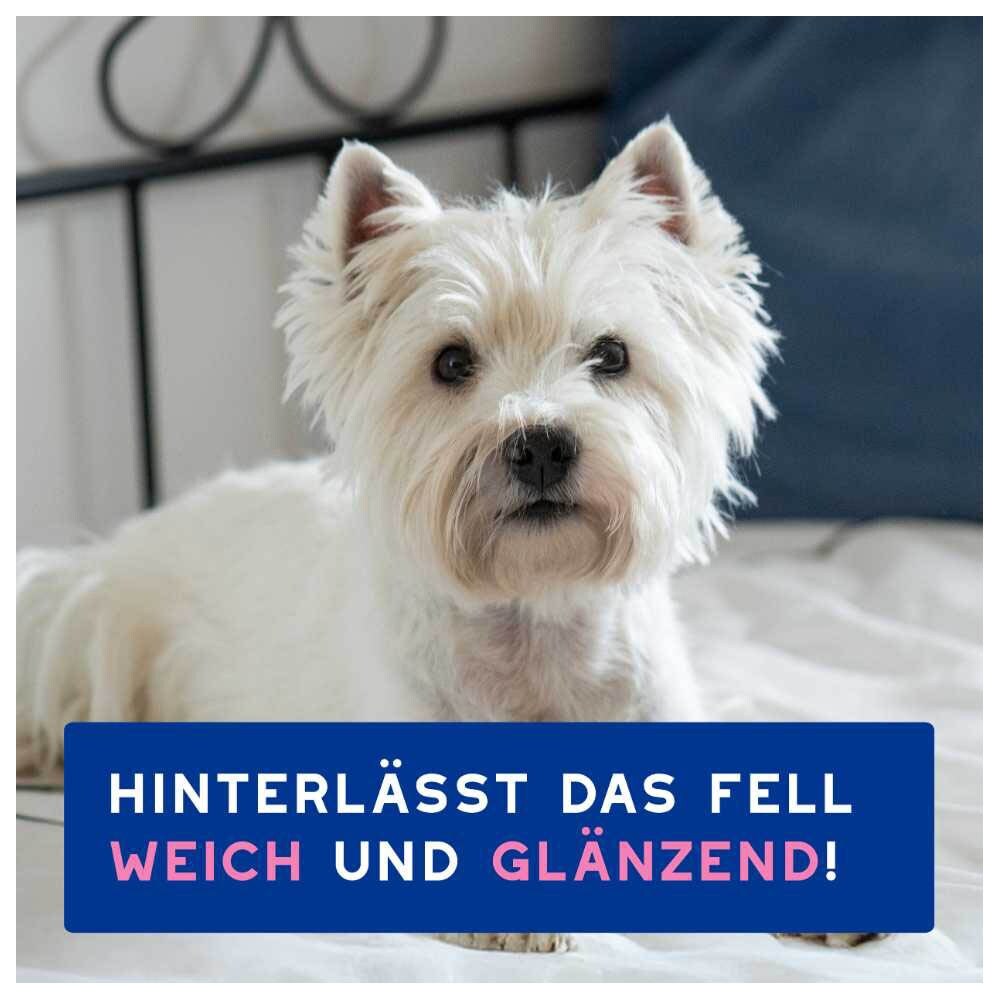 Douxo Spa Shampoo gegen Juckreiz_6