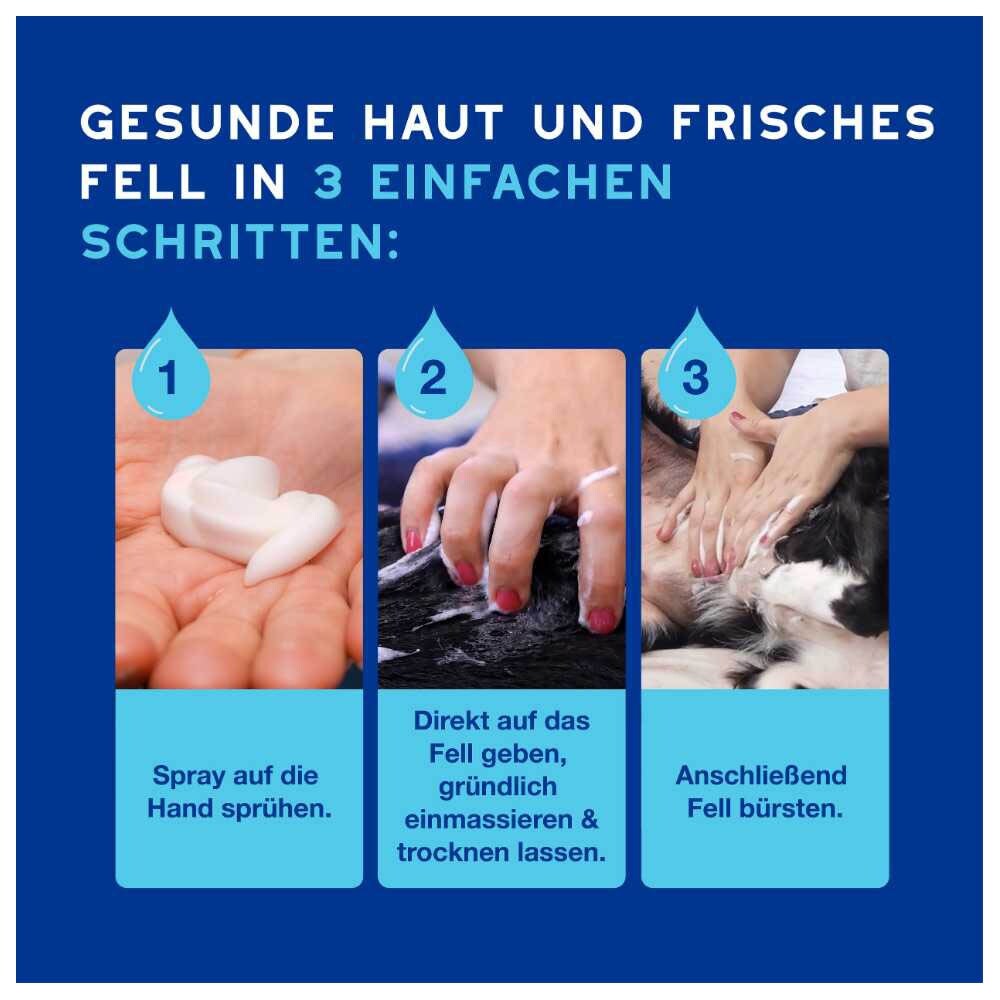 Douxo Spa Trockenshampoo für Hunde_4
