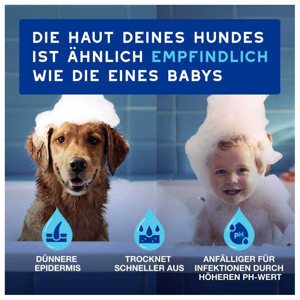 Douxo Spa Trockenshampoo für Hunde_2