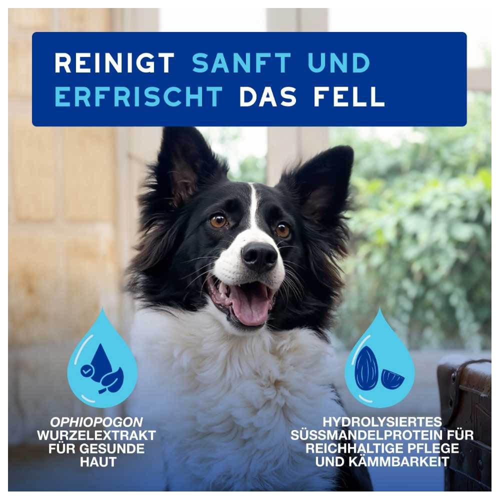 Douxo Spa Trockenshampoo für Hunde_1