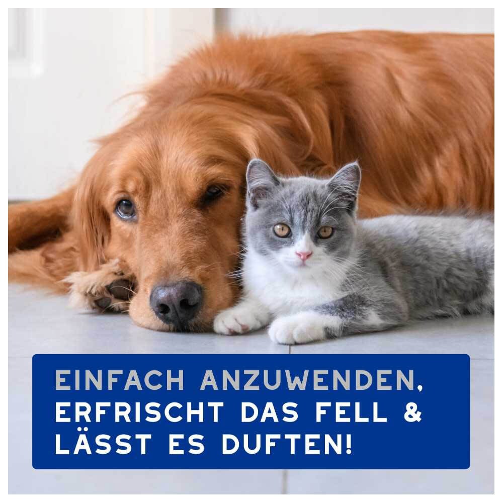 Douxo Spa Feuchttücher_6