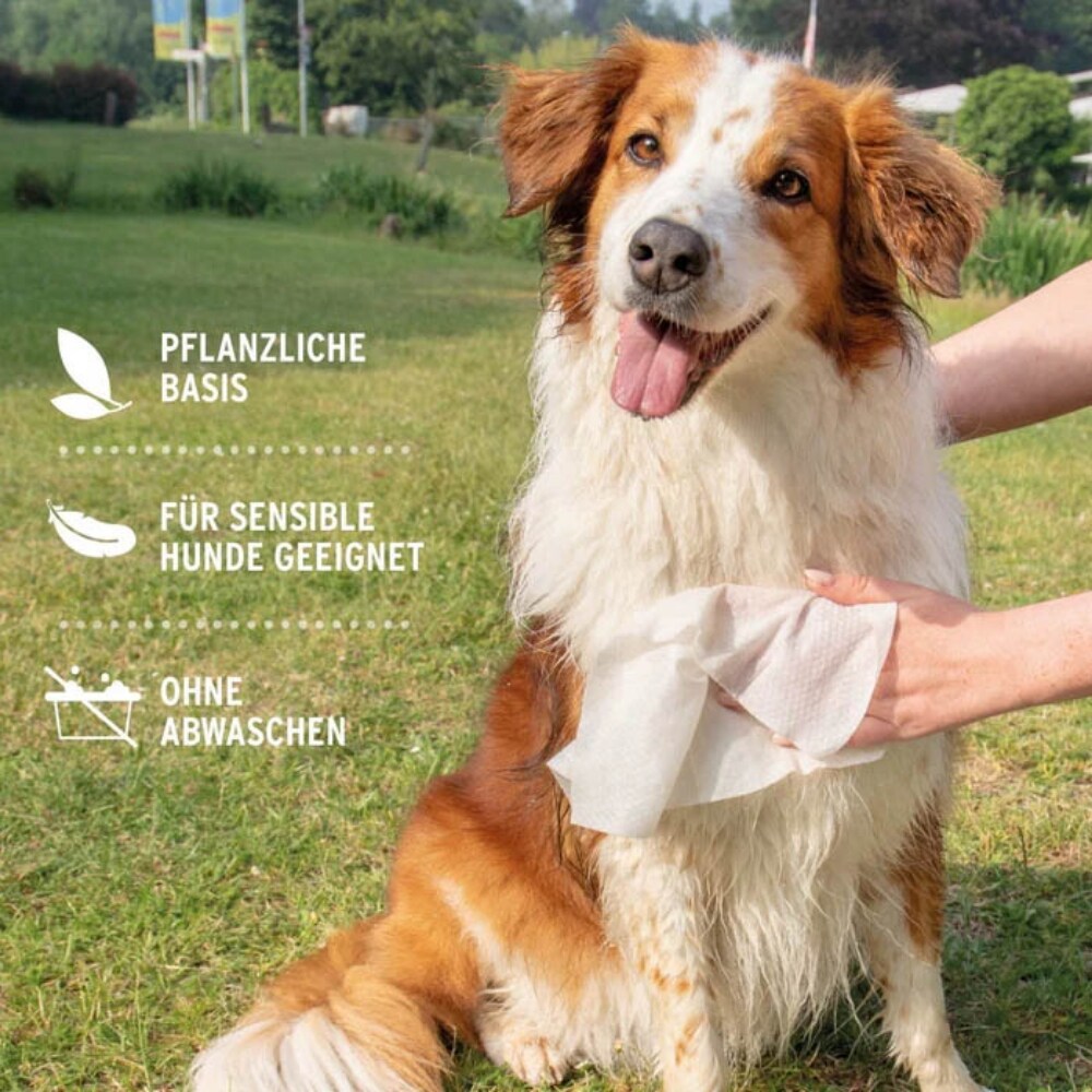 AniForte Pflegetücher_5