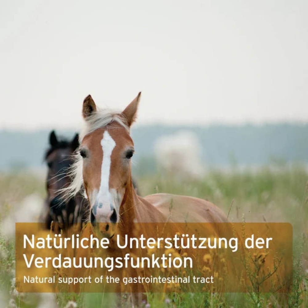AniForte Flohsamenschalen für Pferde_4