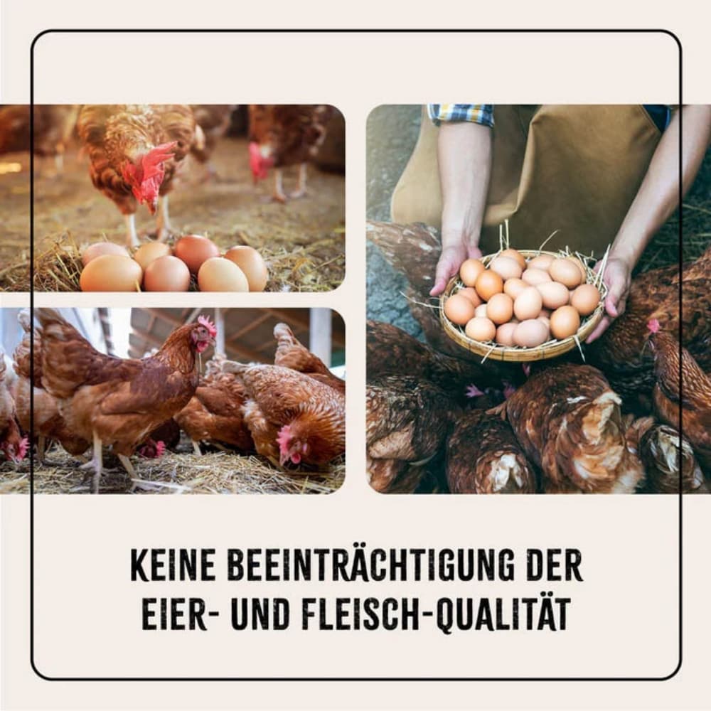 AniForte Kieselgur Pulver für Geflügel_4