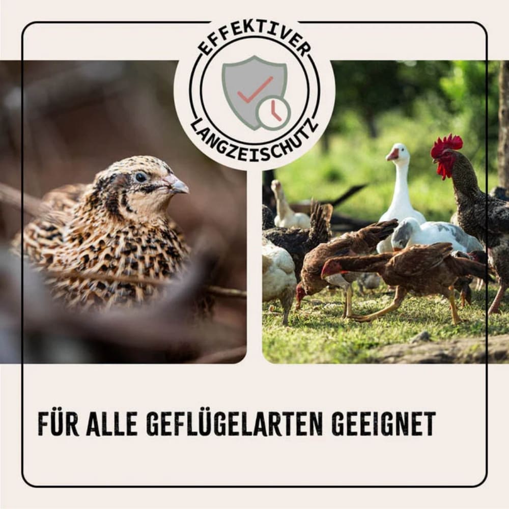 AniForte Kieselgur Pulver für Geflügel_5