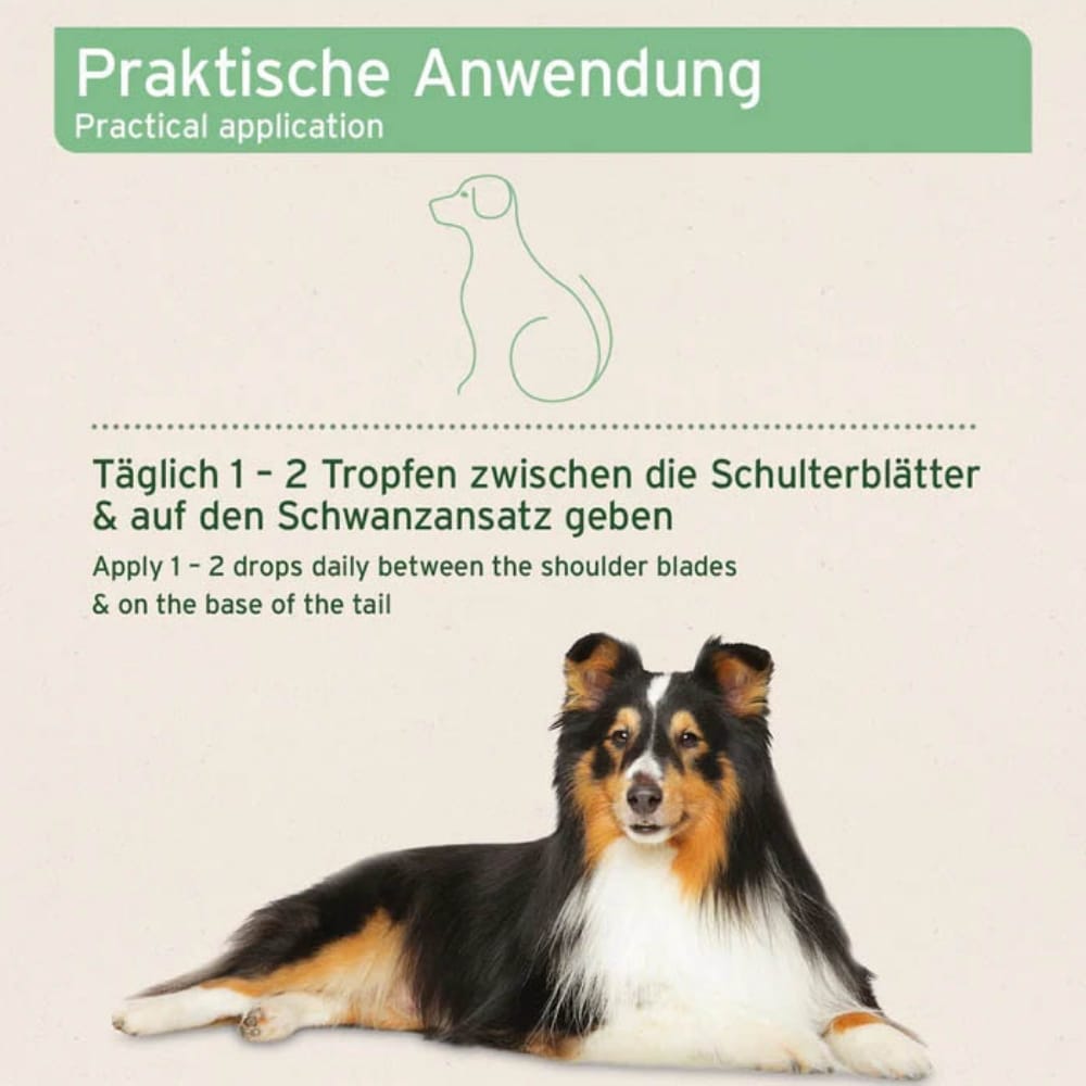 AniForte Ectoprotex Spot-on für Hunde_3