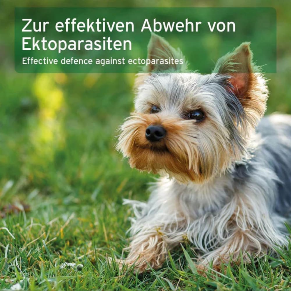 AniForte Ectoprotex Spot-on für Hunde_4