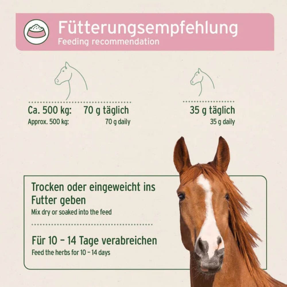 AniForte Bronchial Kräuter_3