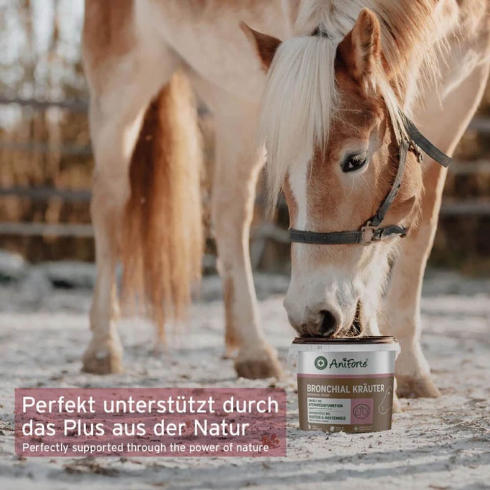 AniForte Bronchial Kräuter_5