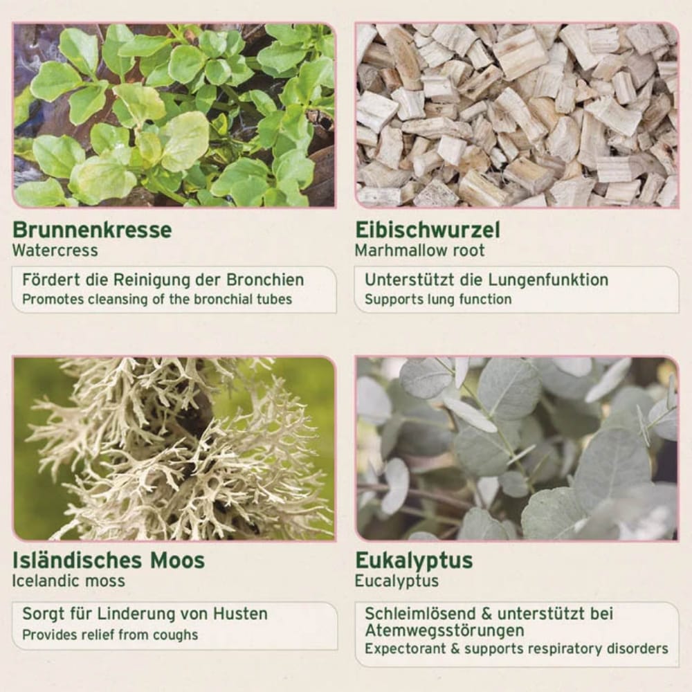 AniForte Bronchial Kräuter_1