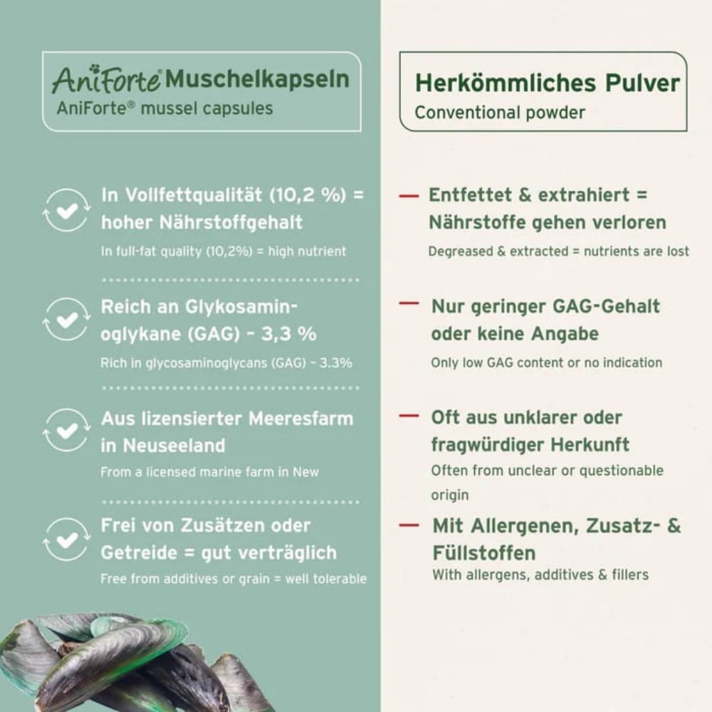 AniForte Grünlippmuschel Kapsel_6