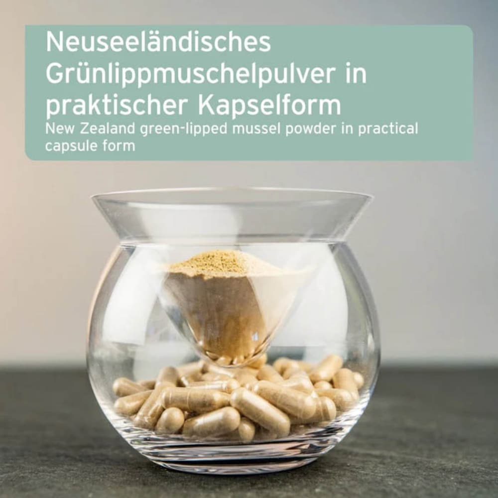 AniForte Grünlippmuschel Kapsel_2