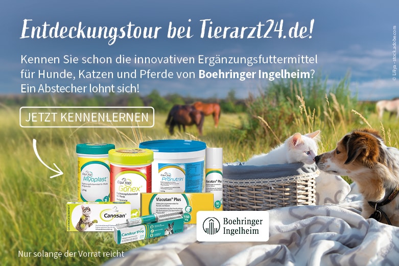 Boehringer Ingelheim