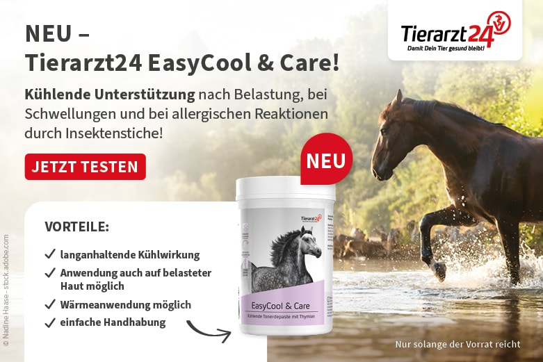 Tierarzt24
