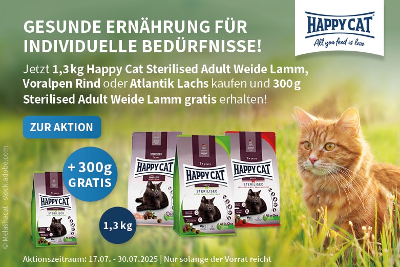 Happy Cat Aktion