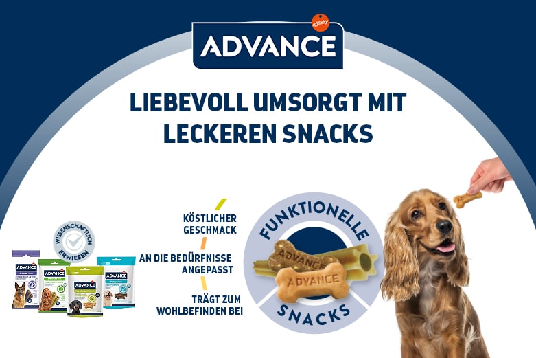 Funktionssnacks