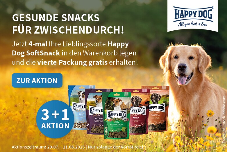 Happy Dog