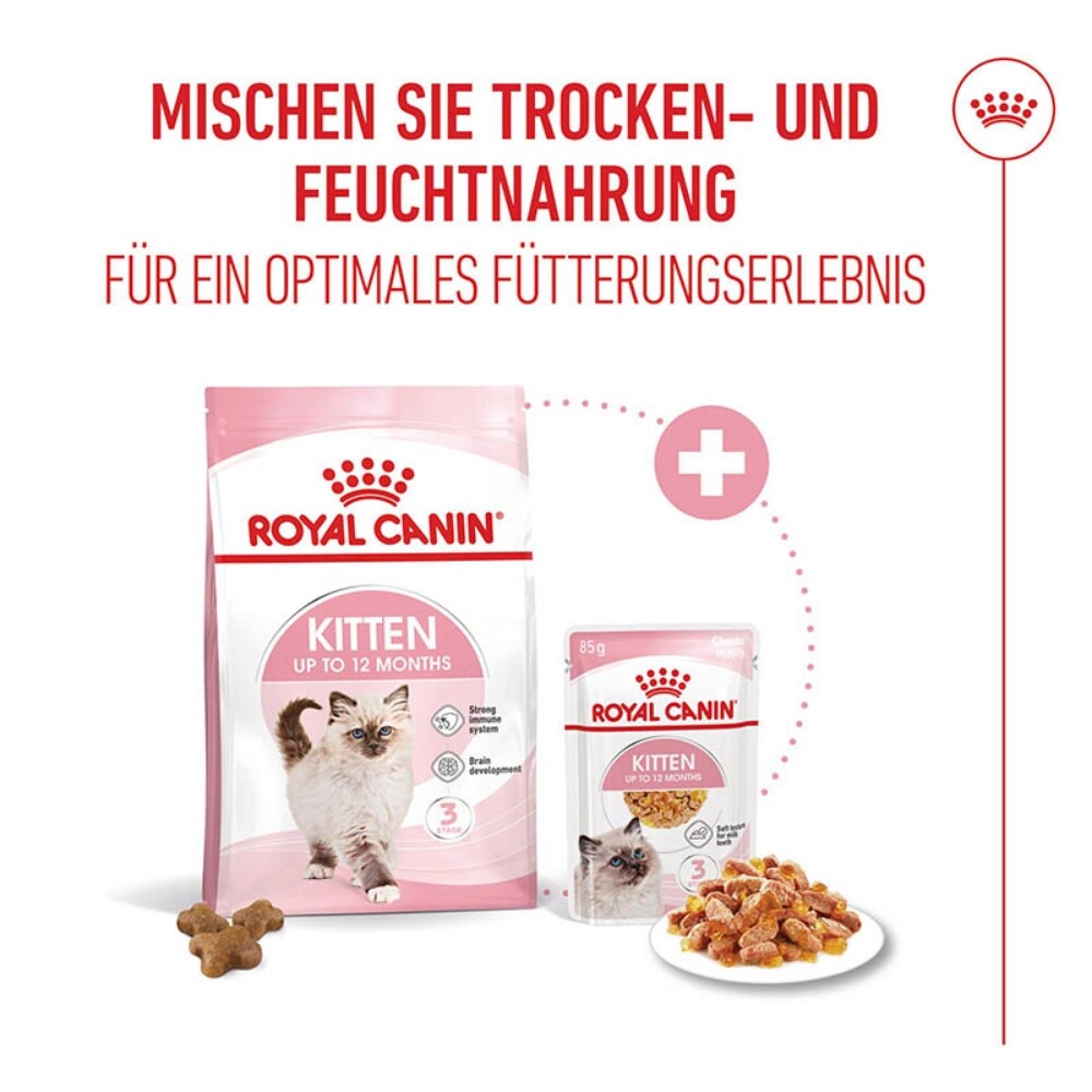 Royal Canin Kitten Nassfutter in Gelee für Kätzchen_5