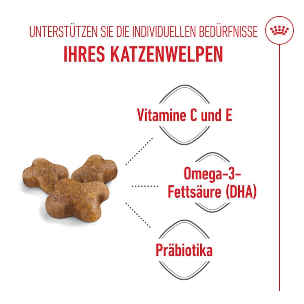 Royal Canin Kitten Trockenfutter_2