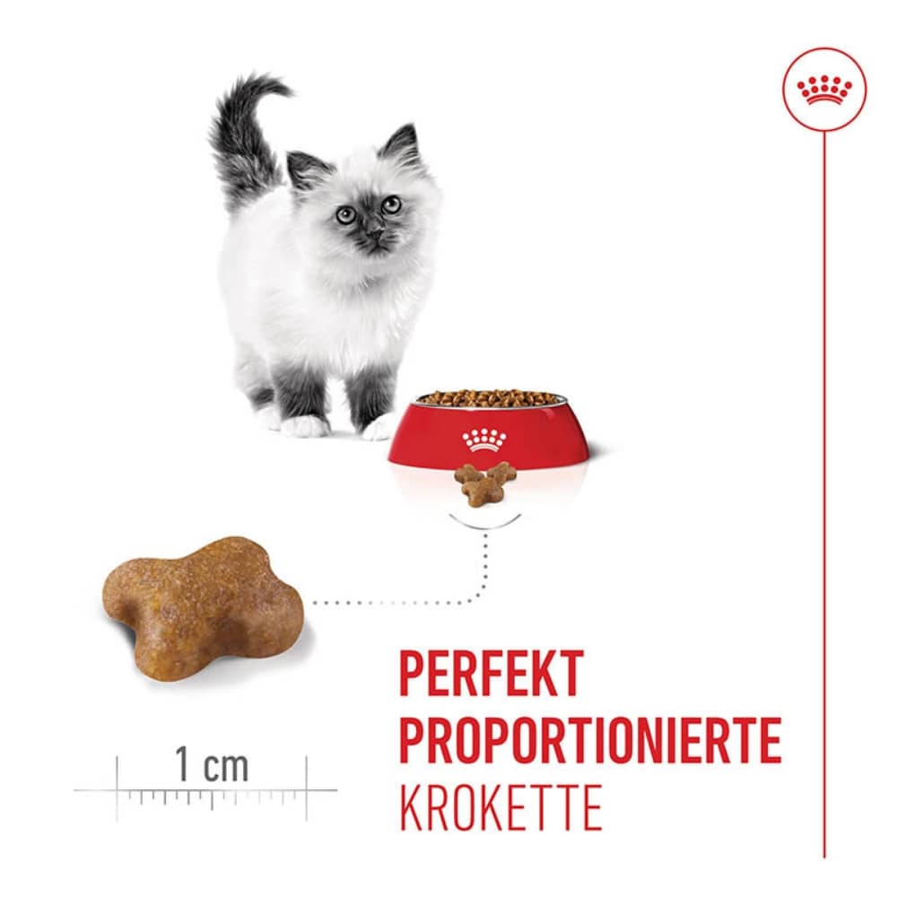 Royal Canin Kitten Trockenfutter_3