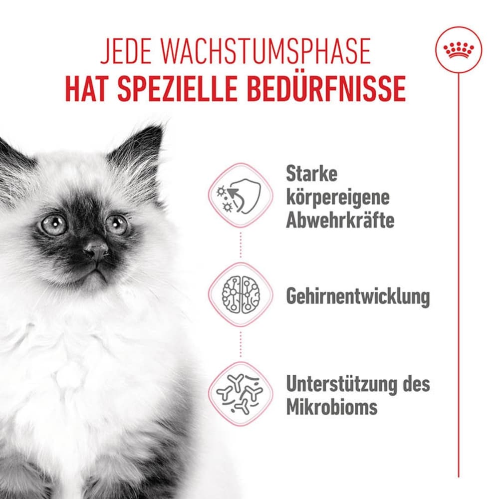 Royal Canin Kitten Trockenfutter_1