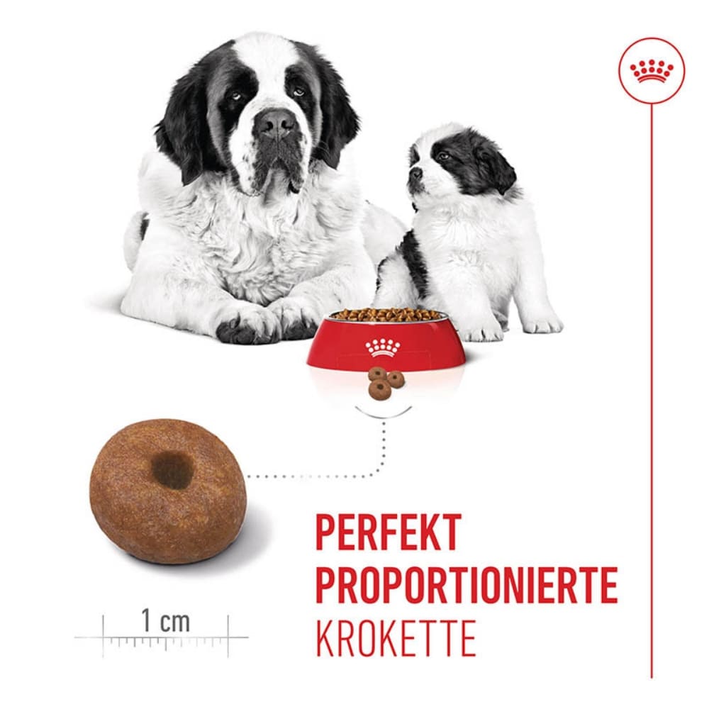 Royal Canin Giant Starter für tragende Hündin und Welpen großer Rassen_3